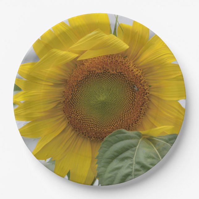 Plato De Papel Girasol dorado (Anverso)