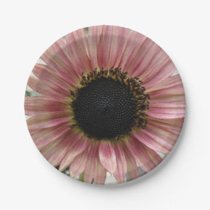 Plato De Papel Girasol rosa pálido