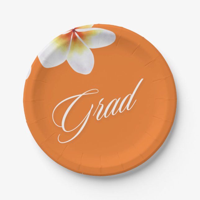 Plato De Papel globo fiesta de grad (Anverso)