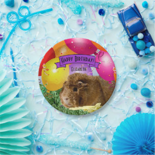 Plato De Papel Globos de Fiestas de cerdo de Guinea con nombre de