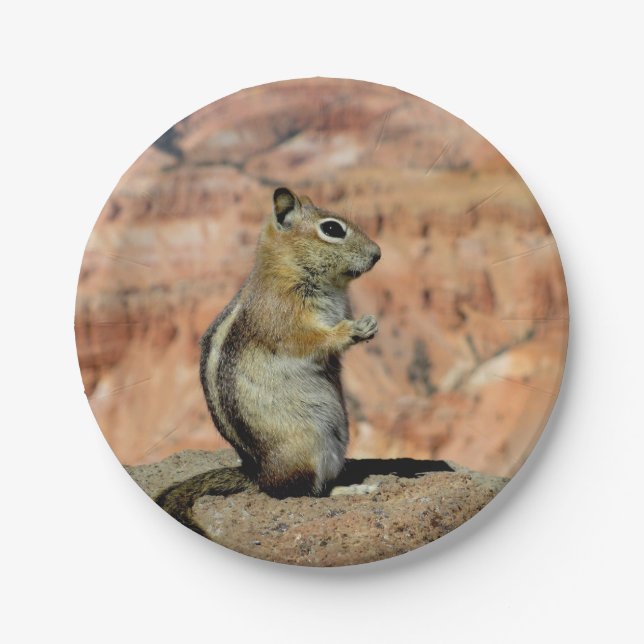 Plato De Papel Golden Mantled Ground Squirrel (Anverso)