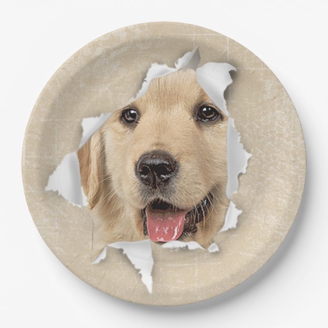 Plato De Papel Golden Retriever en el agujero de papel (Anverso)