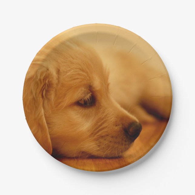 Plato De Papel Golden Retriever Puppy (Anverso)