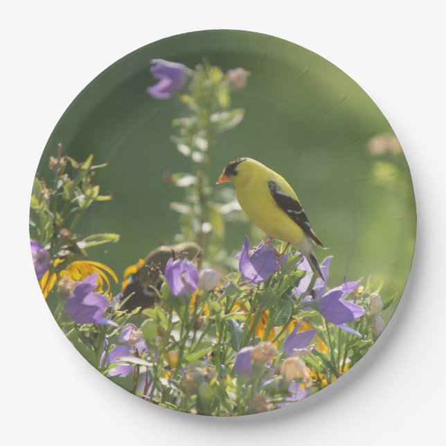 Plato De Papel Goldfinch en una flor harebell (Anverso)