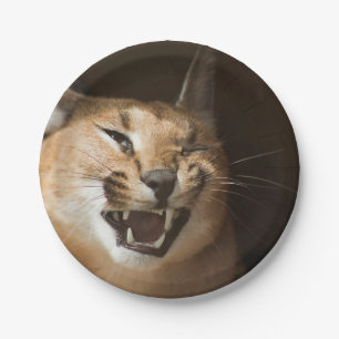 Plato De Papel Goofy Lynx