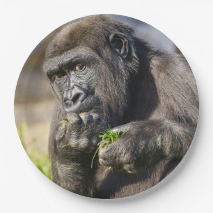 Plato De Papel Gorilla Youngster Napkin