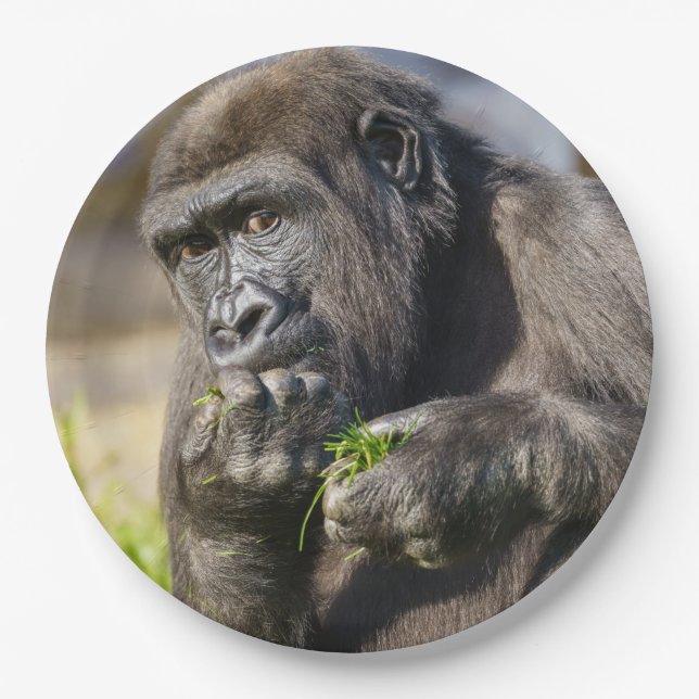 Plato De Papel Gorilla Youngster Napkin (Anverso)