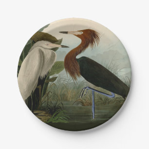 Plato De Papel Grabado de Garza Morada de Audubon: Arte de Aves