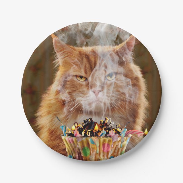 Plato De Papel Gracioso Gato Cranky Con Pastel De Cumpleaños Fund (Anverso)
