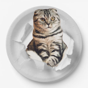 Plato De Papel Gracioso Gato Gris recorriendo la ilusión de papel