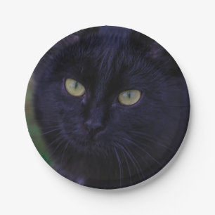 Plato De Papel Gracioso gato negro gatito gatito gatito amarillo 