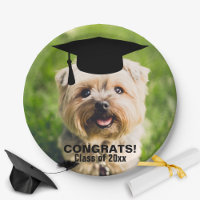 Graduación de fotografía de perro divertida clase 