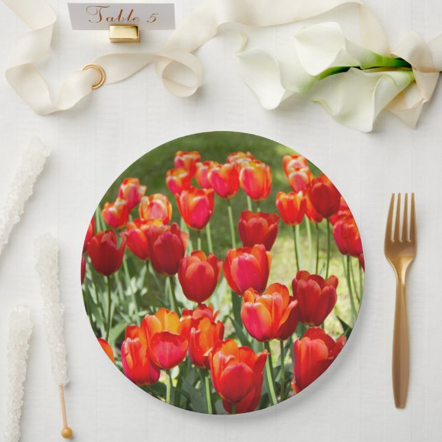Plato De Papel Gran campo de tulipanes rojos (Boda)
