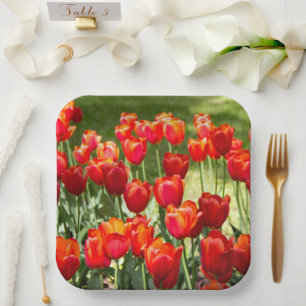 Plato De Papel Gran campo de tulipanes rojos