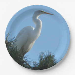 Plato De Papel Gran Egret en la soleada Florida