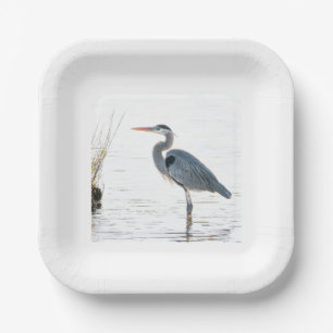 Plato De Papel Gran garza azul - vadeo