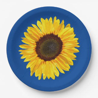 Plato De Papel Gran girasol amarillo en fondo azul