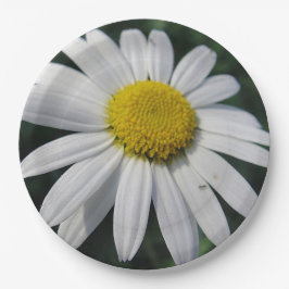 Plato De Papel Gran margarita blanca