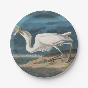 Plato De Papel Gran pintura de vida silvestre de la garza Audubon