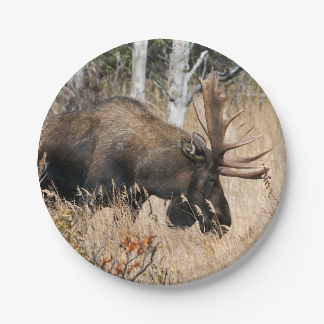 Plato De Papel Grazing Moose (Anverso)