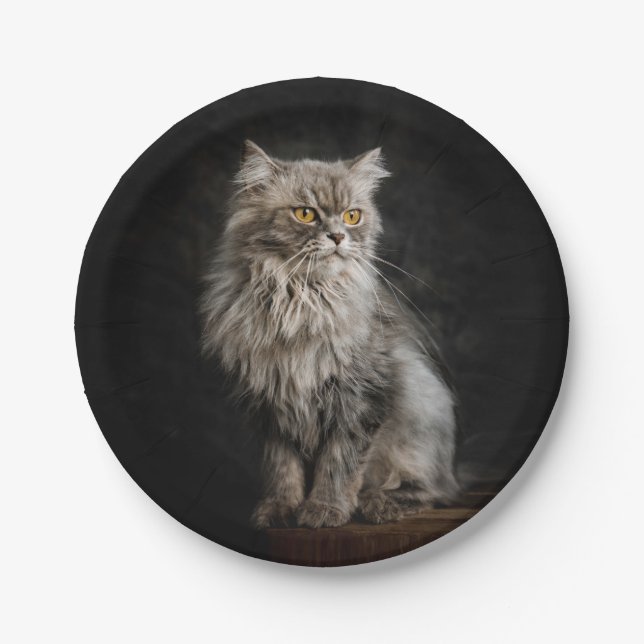 Plato De Papel Gris Fluffy Cat (Anverso)