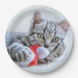 Plato De Papel Gris lindo Navidades gatos Gorras Navidad