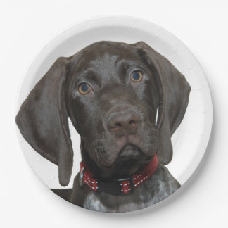 Plato De Papel Grisáceo brillante