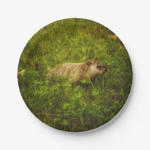 Plato De Papel Groundhog en placas de campo