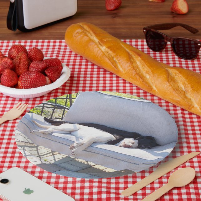 Plato De Papel grupo de laboratorio durmiendo (Picnic)