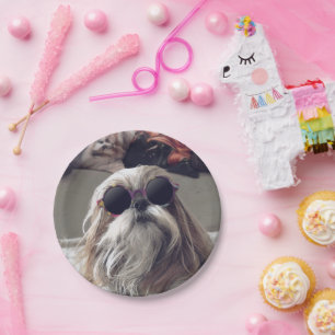 Plato De Papel Guay Shih Tzu vintage de pelo largo gafas de sol F