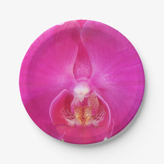 Plato De Papel Guda (Anverso)