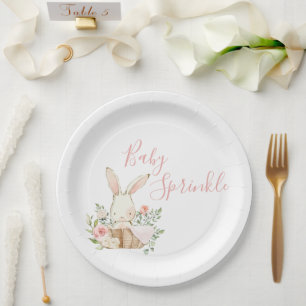 Plato De Papel Guión para la salpicadura de bebé rosado