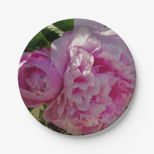 Plato De Papel Hacienda de cottage de foto de peonía rosa jardín 