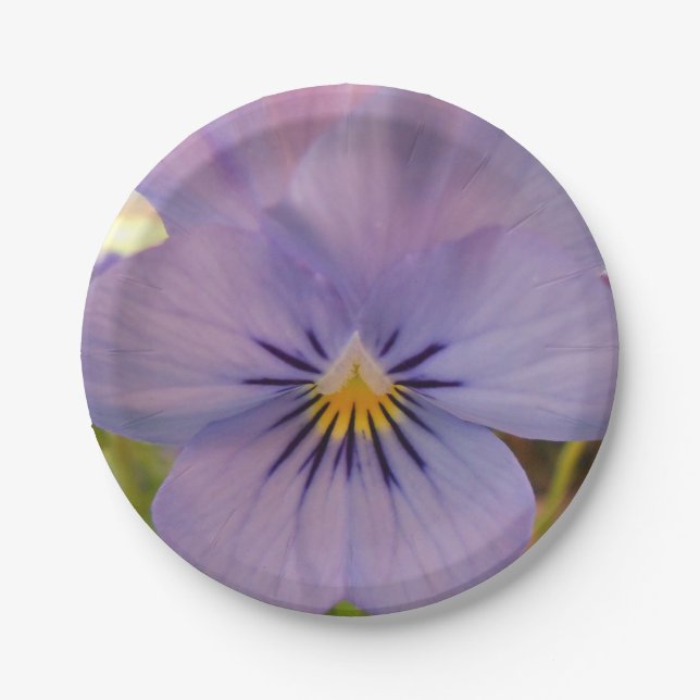 Plato De Papel Haetzlern (Anverso)