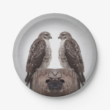 Halcones en un poste