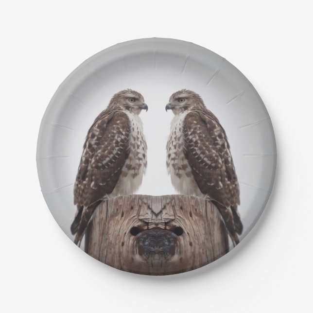 Plato De Papel Halcones en un poste (Anverso)