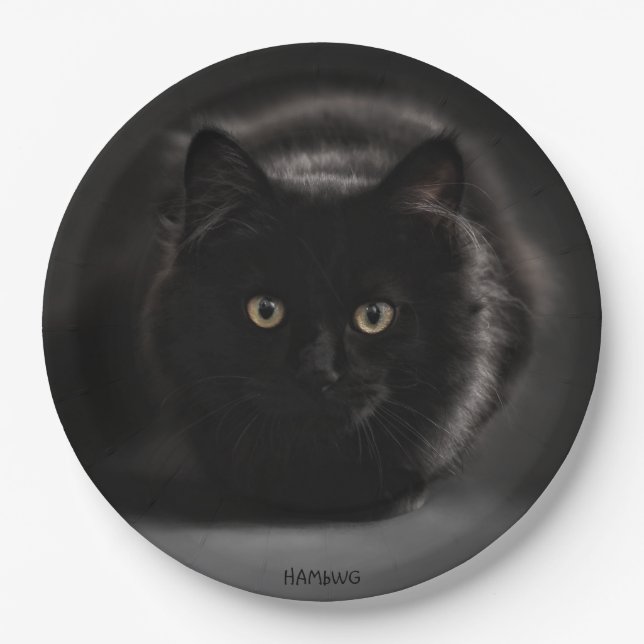Plato De Papel HAMbWG - Placas de papel Personalizado de 9" -Gato (Anverso)