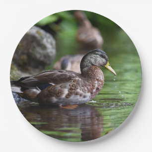 Plato De Papel HAMbyWG - Placa de papel - Pato hermoso