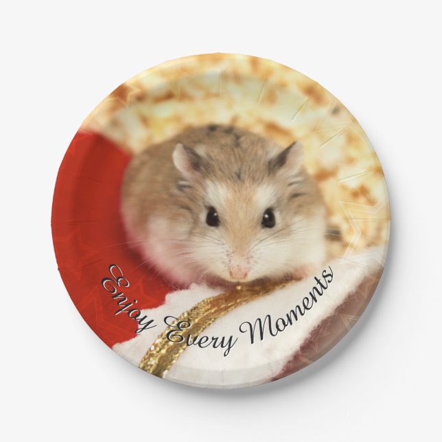 Plato De Papel Hammyville - Cute Hamster (Anverso)