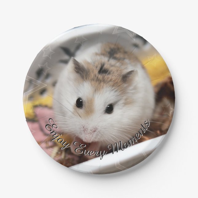 Plato De Papel Hammyville - Cute Hamster (Anverso)