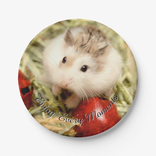 Plato De Papel Hammyville - Cute Hamster (Anverso)