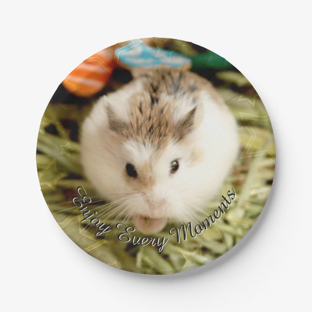 Plato De Papel Hammyville - Cute Hamster (Anverso)