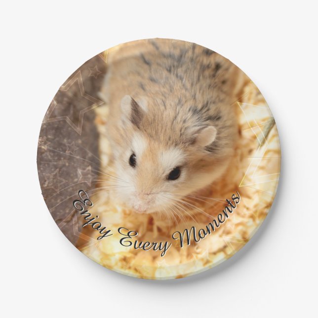 Plato De Papel Hammyville - Cute Hamster (Anverso)