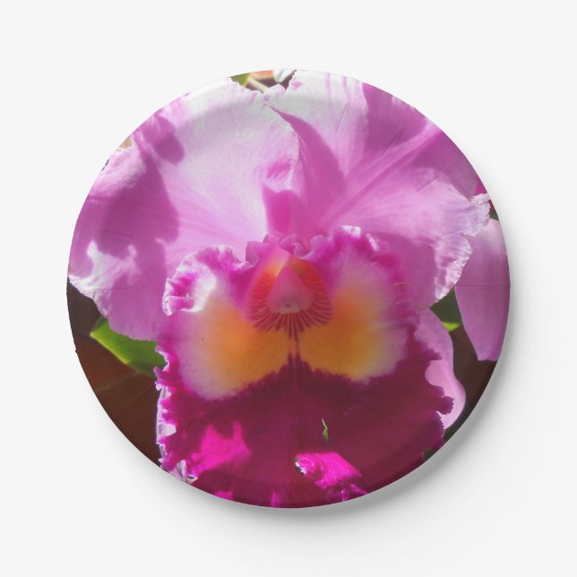 Plato De Papel Harlinde (Anverso)