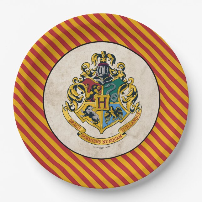 Plato De Papel Harry Potter | Cumpleaños de Hogwarts (Anverso)