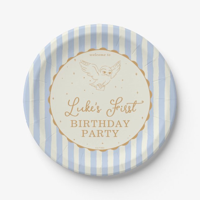 Plato De Papel Harry Potter Hedwig Azul Cumpleaños Mágico (Anverso)