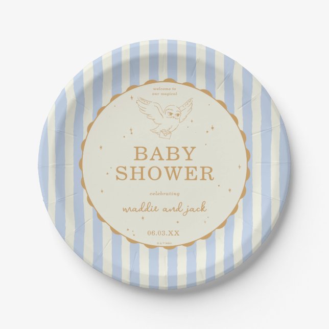 Plato De Papel Harry Potter Hedwig Blue Stripe Baby Shower (Anverso)