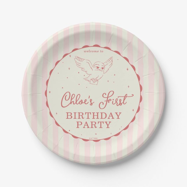 Plato De Papel Harry Potter Hedwig Cumpleaños Mágico Rosa (Anverso)