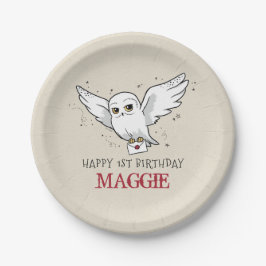 Plato De Papel Harry Potter | Hedwig Special Delivery Birthday
