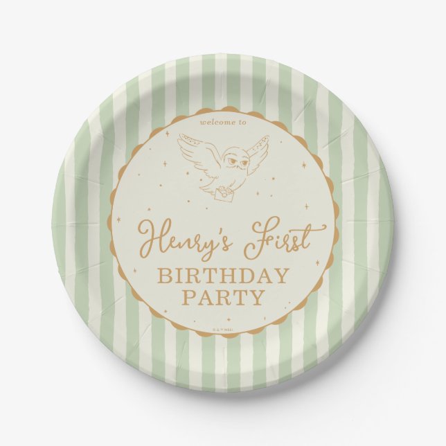 Plato De Papel Harry Potter Hedwig Verde Cumpleaños Mágico (Anverso)